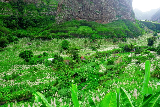 Cape Verde - Santiago, Fogo, São Vicente & Santo Antão Islands 11 Days - Start in Praia with a real welcome and fewer first-day headaches