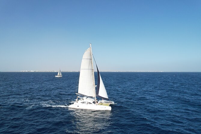 Catamaran Half Day - Beautiful day on the Atlantic Ocean - Price, drinks included: what your $68.36 really buys