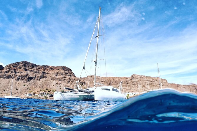 Catamaran Half Day - Beautiful day on the Atlantic Ocean - Who this catamaran trip is best for
