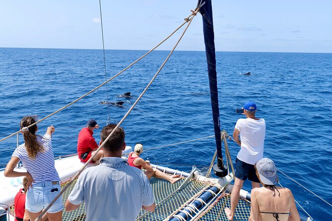 Catamaran Half Day - Beautiful day on the Atlantic Ocean - Swimming and snorkeling: gear included, but plan for a quick window