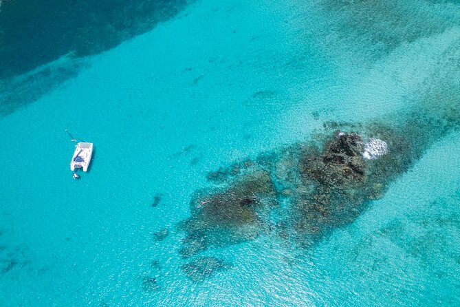 Catamaran Sailing Tour or Whale Watching at Boa Vista - Key highlights to plan around
