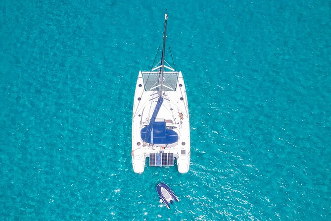 Catamaran Sailing Tour or Whale Watching at Boa Vista - Winter whale watching: approach with sails, not noise