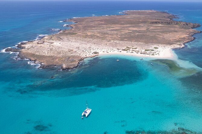 Catamaran Sailing Tour or Whale Watching at Boa Vista - Getting there at Sal Rei, and what the transfers feel like