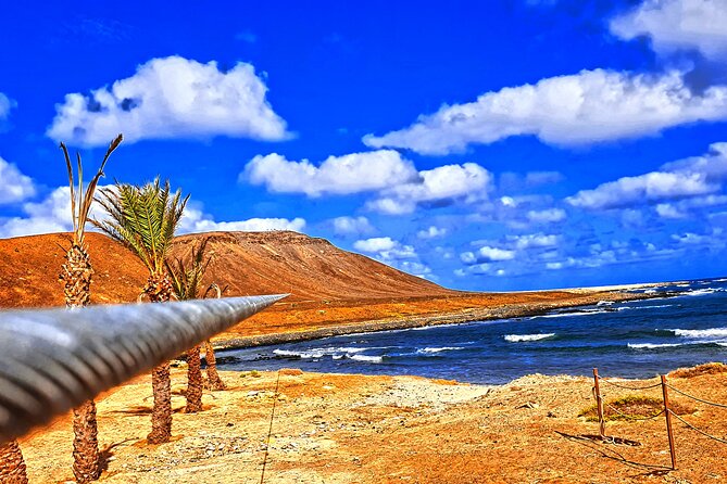 Complete Excursion and Flight on the Zipline Cabo Verde - Price and Value: Is $56.77 Worth It?