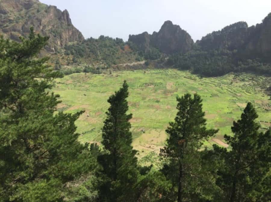 Cova-Paúl Valley Trek: Santo Antão Day Trip by Ferry - Quick hits: what makes this day trip special