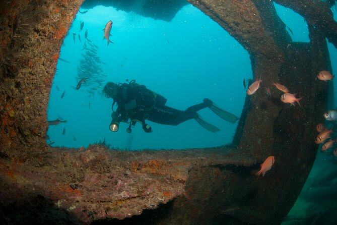 Discover Scuba Diving in Sal - The Afternoon Ocean Session From the Atlantic, With Time Based on Air