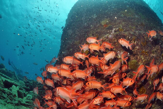 Discover Scuba Diving in Sal - Safety Checks and the Health Questionnaire Reality
