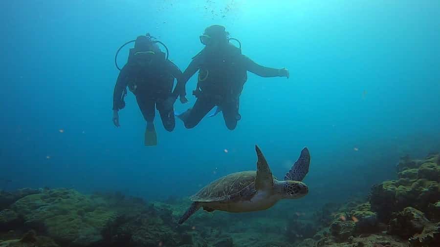 Discover Scuba Diving Program for Beginners - Why a beginner “try scuba” on Boa Vista makes sense
