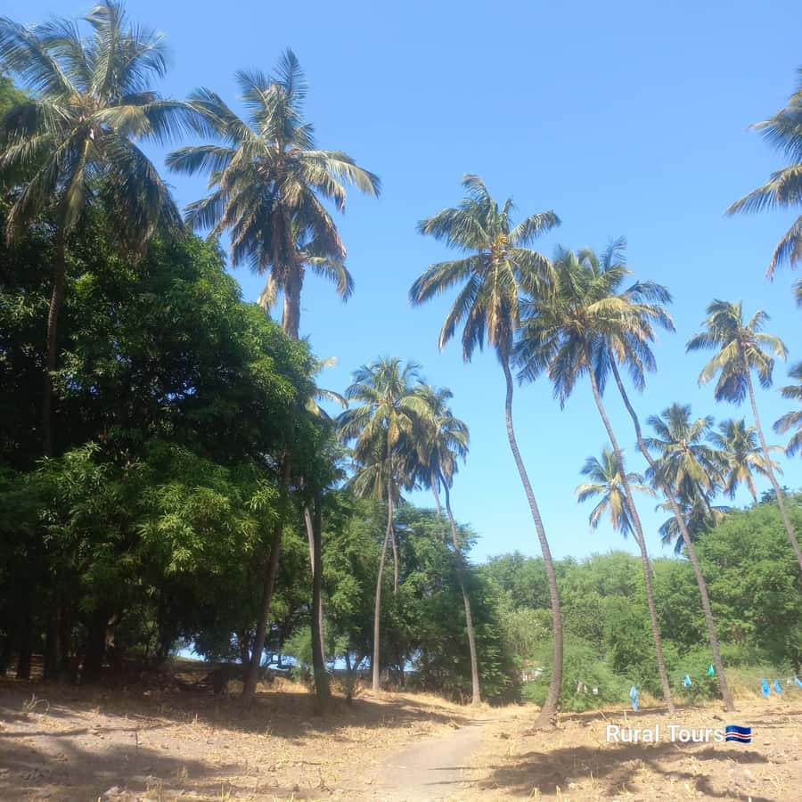 Discover the Black Sand Beach+the Natural Pool - Private Group Style With a Live Guide, So You Actually Set the Tempo