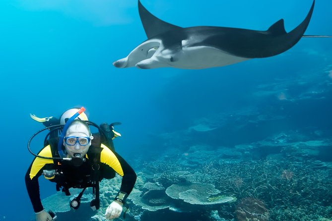 Double Diving in Sal Island - Half Day - Small group attention: why max 7 people changes the vibe