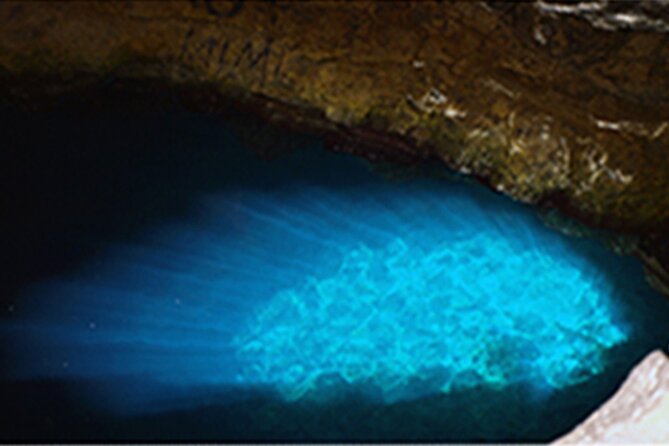 Experience on Sal Island with native and certified guide (including sharks) - Murdeira Bay and Monte Leão views
