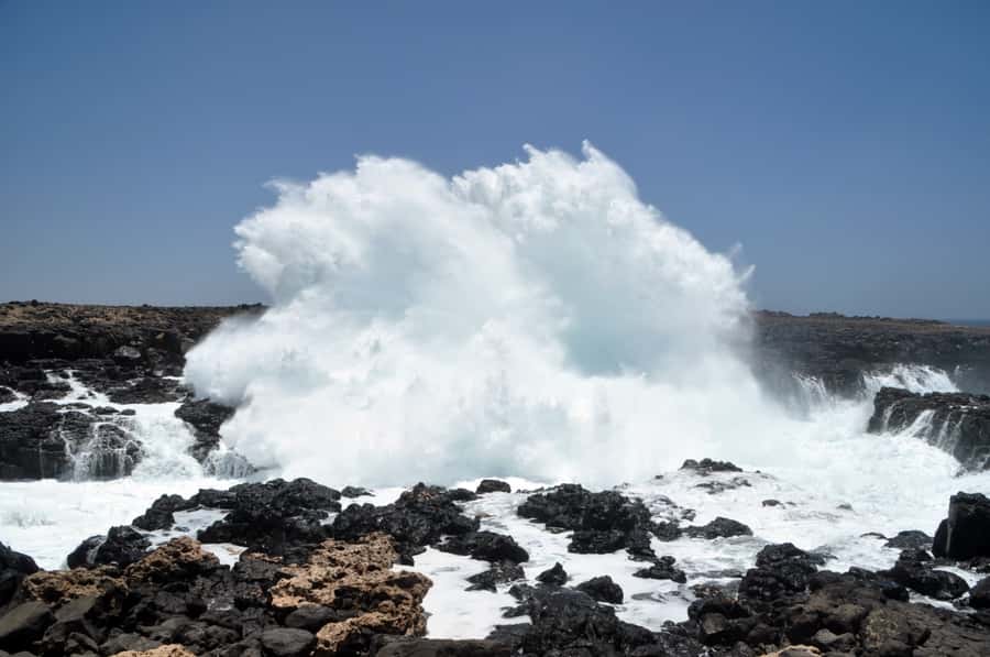 Explore Sal Island: Full-Day Adventure to All Must-See Spots - Palmeira Fishing Village Lunch, Then Back to the Water