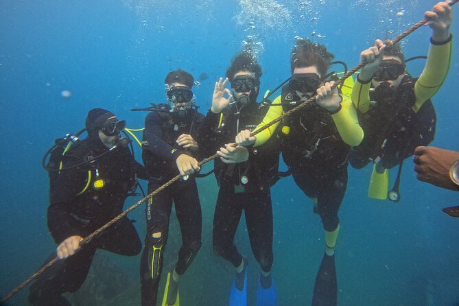 First Diving Experience Try Dive - Reef and Marine Life Time: What to Expect Underwater