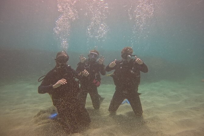 First Diving Experience Try Dive - How Much It Costs, and Whether $119.48 Makes Sense