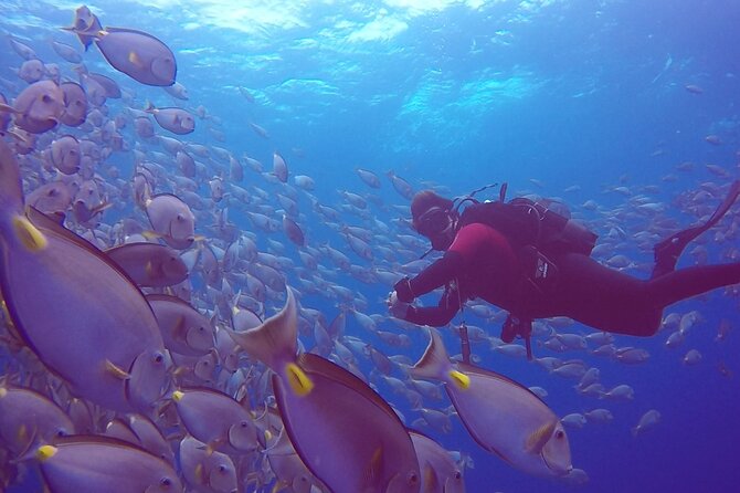 First Diving Experience Try Dive - What You Actually Get: Instructor, Gear, Pickup, and the One Thing You Must Bring