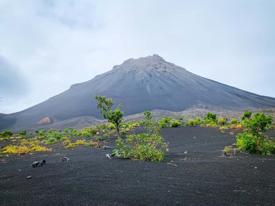 Fogo Island: Pico do Fogo Volcano Summit Hike - Quick hits before you hike Pico do Fogo