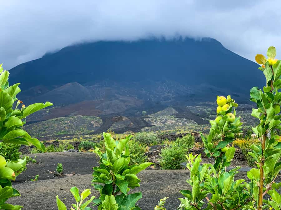 Fogo Island: Pico do Fogo Volcano Summit Hike - The ascent to 2,829 meters, pace control and real volcanic terrain