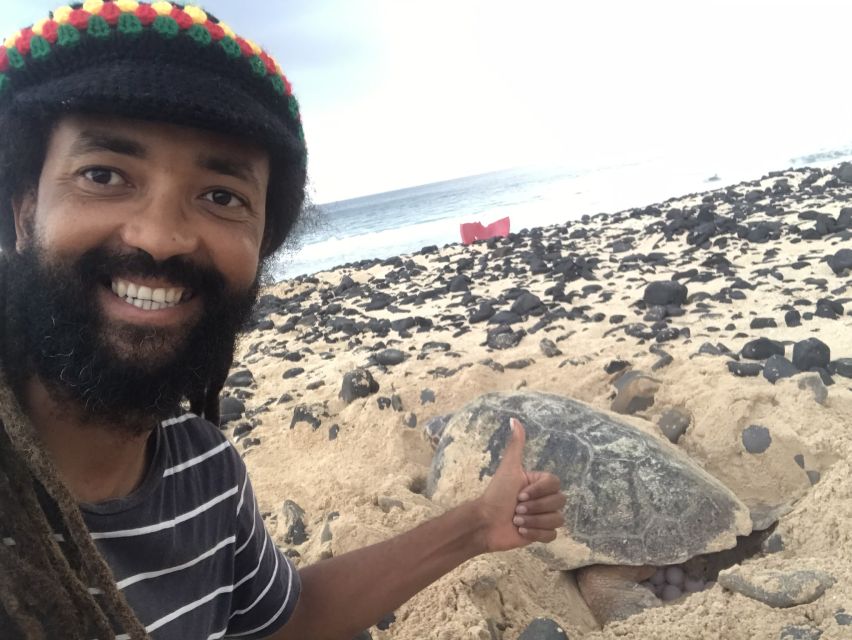 From Boa Vista: Turtle Watching and Nesting Evening Tour - What to Bring, What Not to Do, and How to Stay Comfortable