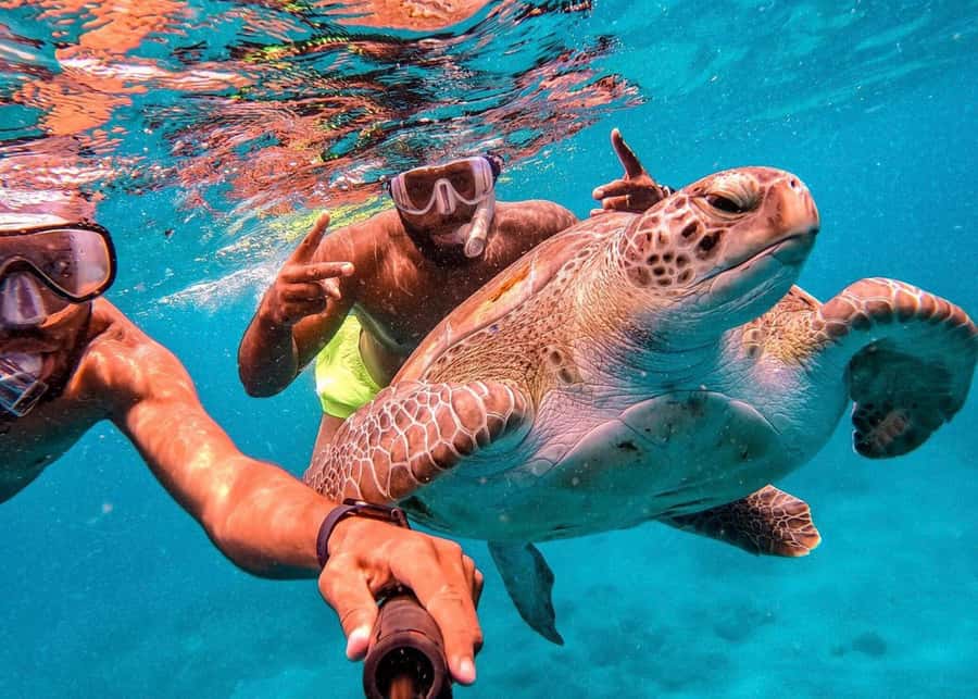 From Mindelo: São Vicente's Enchanting Sea Turtle Snorkeling - Getting to São Pedro from Mindelo: more than a ride, less than a hassle