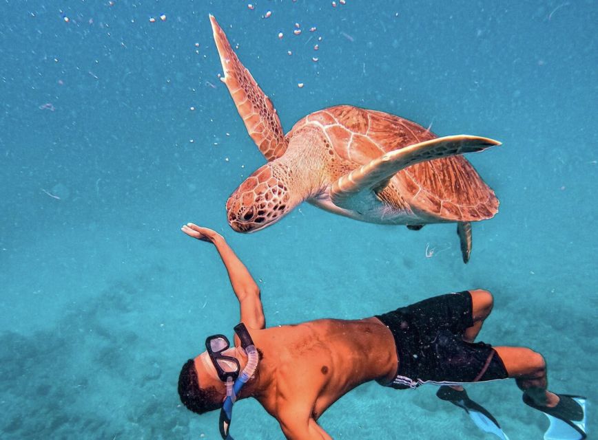 From Mindelo: São Vicente's Enchanting Sea Turtle Snorkeling - Is the guide experience the real reason to pick this tour?