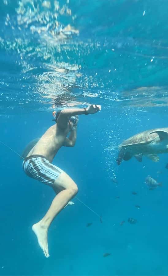 From Mindelo: Snorkel and Swim with Sea Turtles - Why the Small Group Makes a Difference (Max 9)