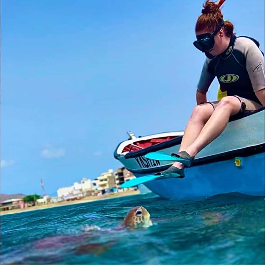 From Mindelo: Snorkel and Swim with Sea Turtles - Gear and What It Costs You, Really