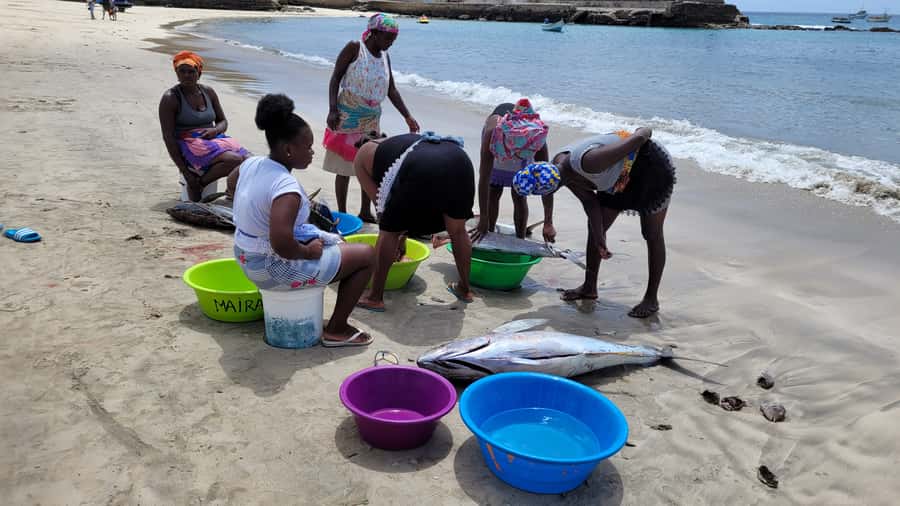 From Praia: Explore the island with local Tour guide - Assomada Market Days: What You See and How to Use It