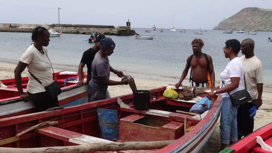 From Praia: Explore the island with local Tour guide - Driving the East Coast Back: Fishing Villages and Thousand Palms