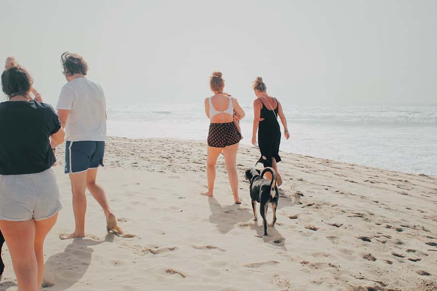 From Praia: Explore the island with local Tour guide - Coastal Road Styling: Why This Route Feels Like More Than Transport