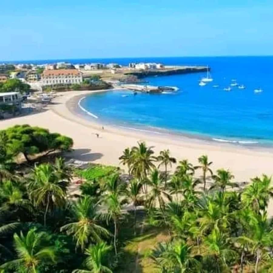 From Praia: Explore the island with local Tour guide - The Van, the Guide, and the Small-Group Feel