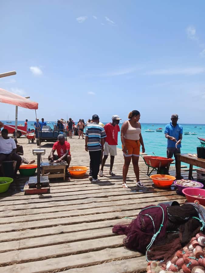 From Sal Island: Blu eye, Salt lake, Lemon Sharks & Palmeira - Traditional village time: a quick cultural pause