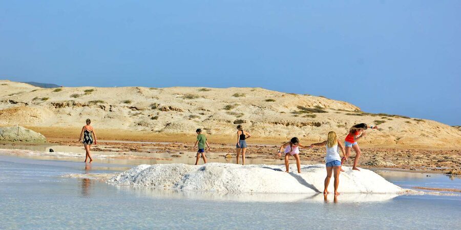 From Sal Island: Blu eye, Salt lake, Lemon Sharks & Palmeira - Shark Bay lemon sharks: safety rules, crocs, and the wow factor