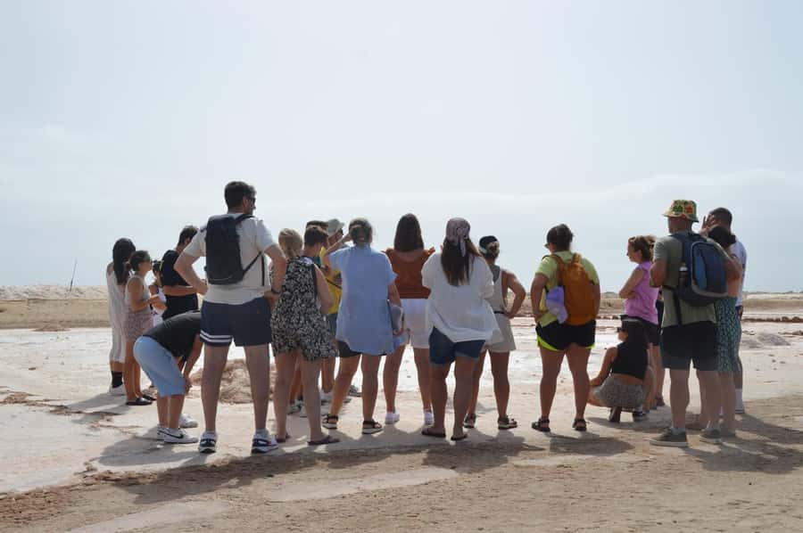From Sal Island: Blue Eye, Salt Lake, Lemon Sharks, Palmeira - Why this Sal day feels special, not just scenic stops