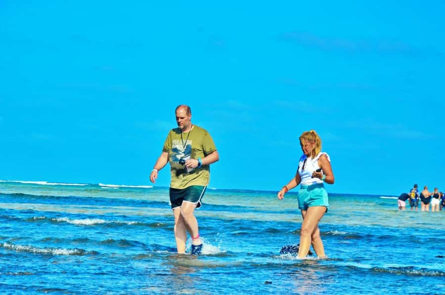 From Sal Island: Blue Eye, Salt Lake, Lemon Sharks, Palmeira - Murdeira Bay swim time: refreshing water, and weather reality
