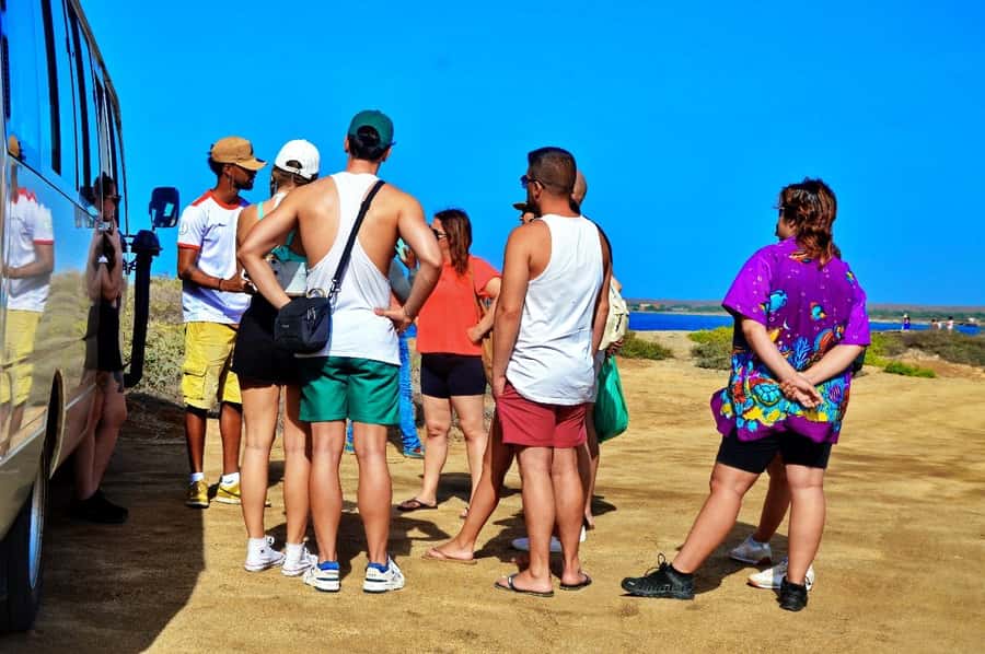 From Sal Island: Blue Eye, Salt Lake, Lemon Sharks, Palmeira - Palmeira fishing village, Espargos lunch hour, and viewpoint time
