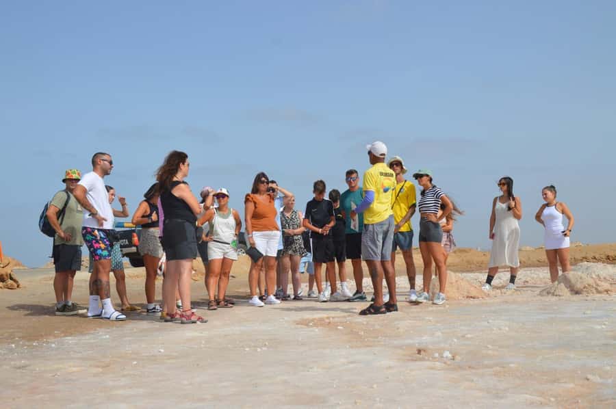 From Sal Island: Blue Eye, Salt Lake, Lemon Sharks, Palmeira - Price and value: how the $32 really plays out