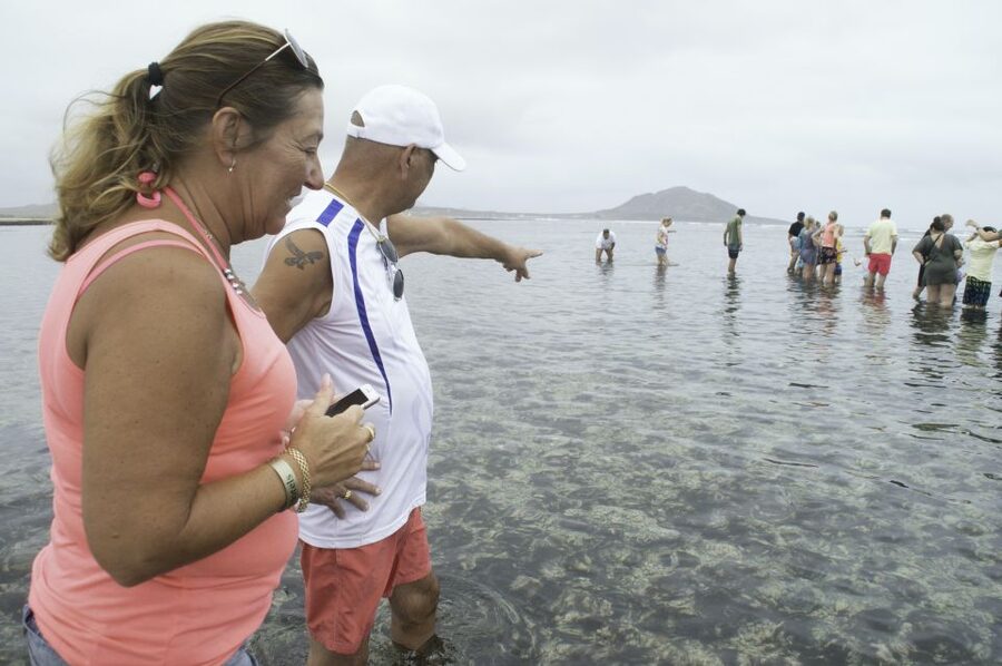 From Santa Maria: Guided Lemon Shark Watching - Where you actually go, and why the setup matters