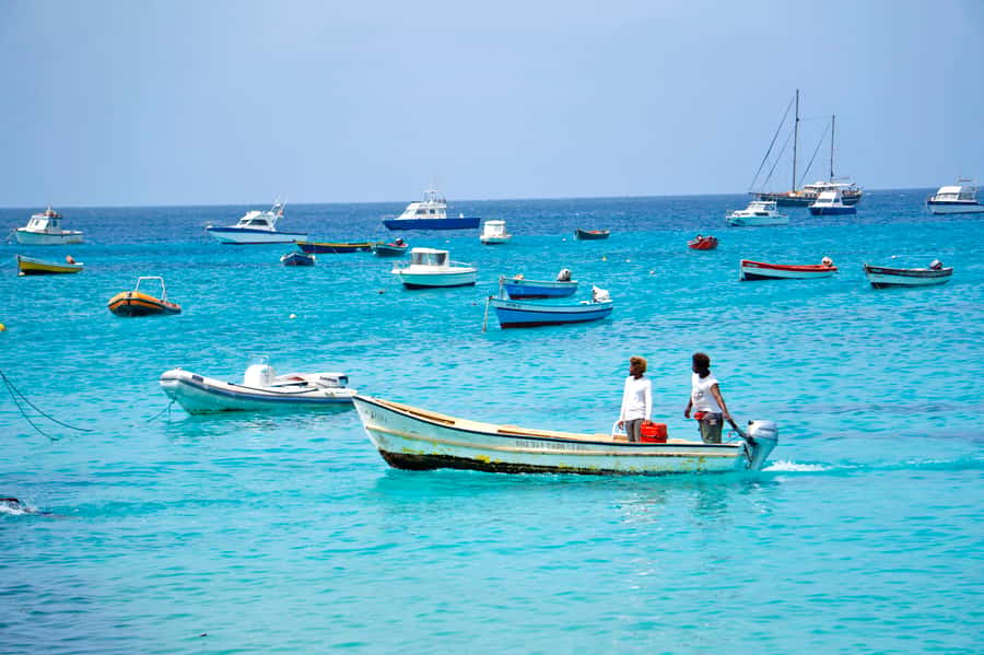 From Santa Maria: Sal Island Private Day Trip - Palmeira Fishing Village: Lunch Break and Local Cape Verdean Food