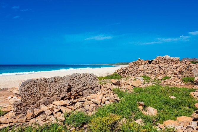 Full Day Boa Vista Island Guided 4X4 Tour with Beachfront Lunch - Why the Sal Rei pier stop fits so well between dunes