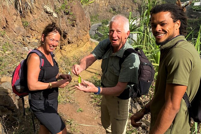 Full-Day Island Tour in Santo Antão with Lunch Included - Why this Santo Antão day tour is a smart one-day plan