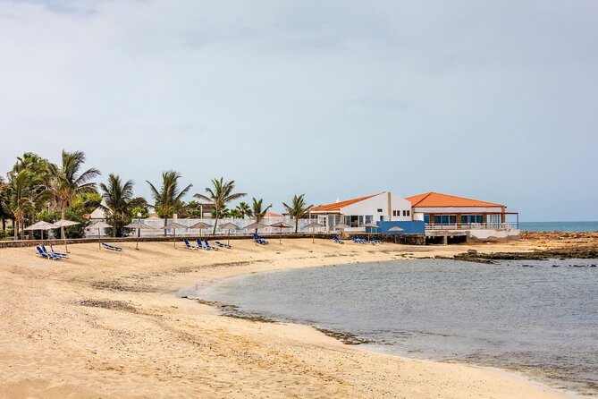 Full Day Postcards of Sal Tour with Kite Beach and Local Lunch - Palmeira, Mural Walls, and the Route North