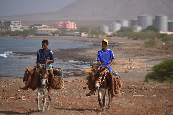 Full Day Sal Island Tour in Santa Maria - Palmeira: School Visit, Souvenir Time, and Fishermen at Work