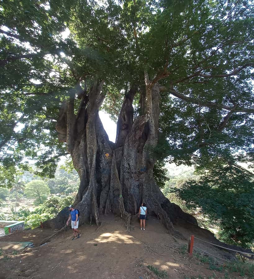 Full-Day Santiago - Villages, Nature & Local Culture - Santiago in one day, how this route actually feels