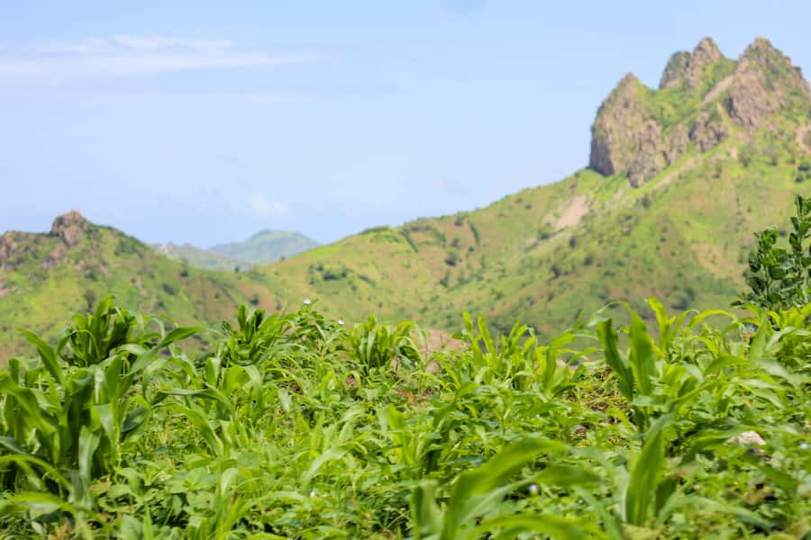 Full-Day Santiago - Villages, Nature & Local Culture - Serra Malagueta Natural Park, views plus context at the visitor center