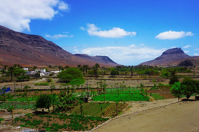 Full-Day São Vicente Island Experience with a Local Guide - Price and Value: Is $104.53 a Good Deal for São Vicente?