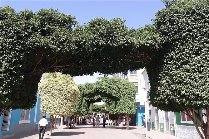 Guided City tour Praia with Cidade Velha (World Heritage) - Praça Alexandre Albuquerque: your quick orientation in central Praia