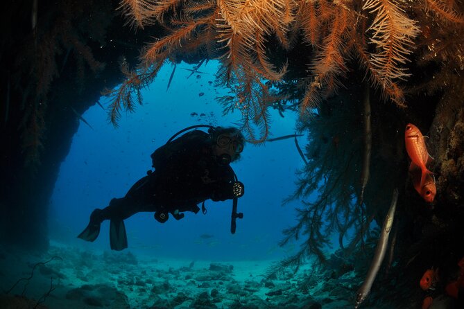 Half-Day Diving in Sal - Key Things To Know Before You Go
