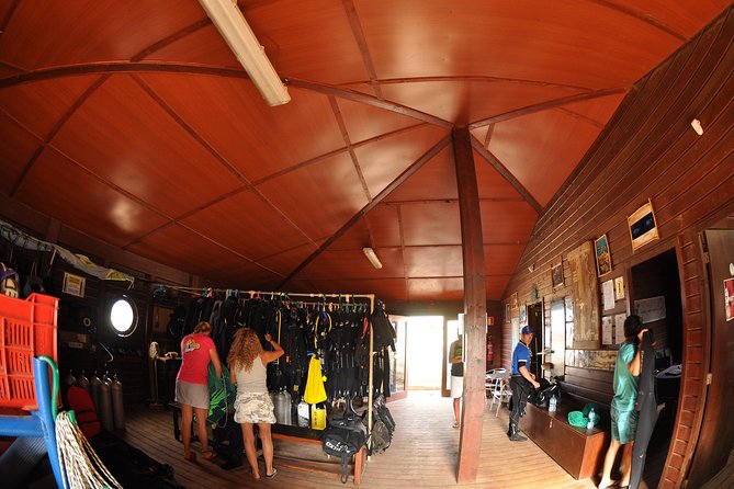Half-Day Diving in Sal - The Morning Plan: Two Tank Sessions Without the Guesswork