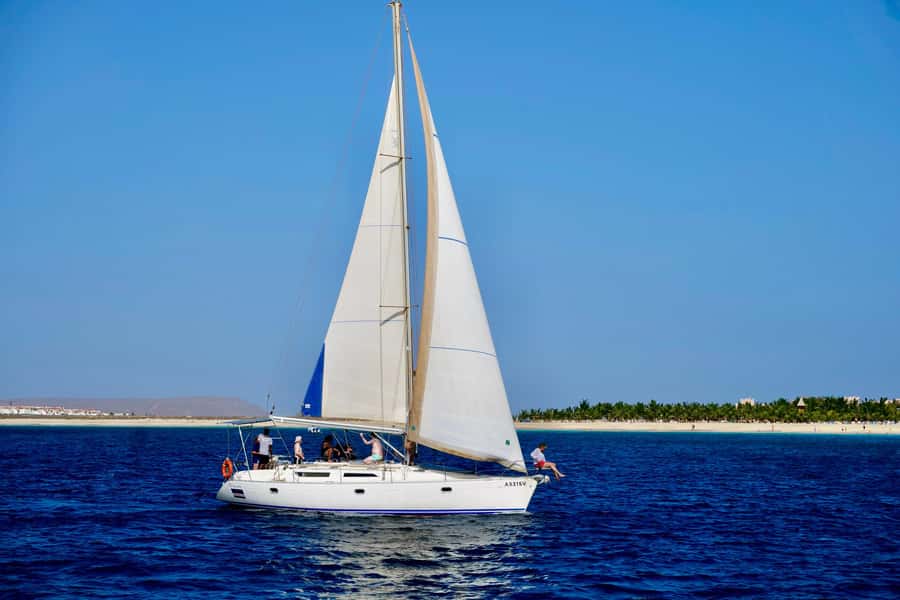 Half-Day Sailing Yacht Adventure in Sal Island - 3 hours - Wildlife sightings: the “nice if it happens” bonus