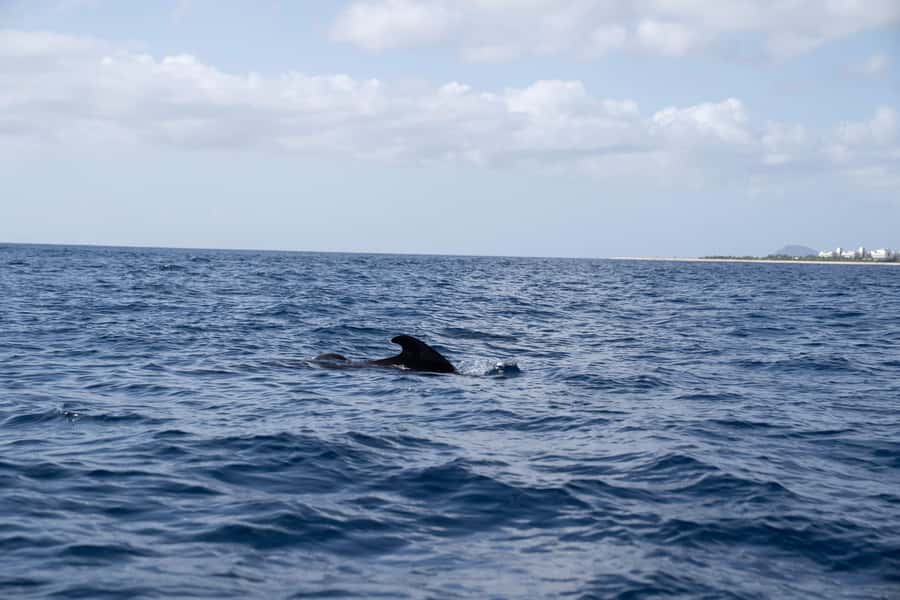 Half-Day Sailing Yacht Adventure in Sal Island - 3 hours - Meeting points in Santa Maria: Santa Maria Beach vs Bikini Beach